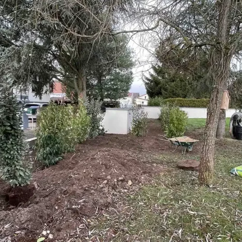 Plantation arbres, arbustes et fruitiers Nancy; Toul, Lunéville - Innovation Nature & Paysage (5)